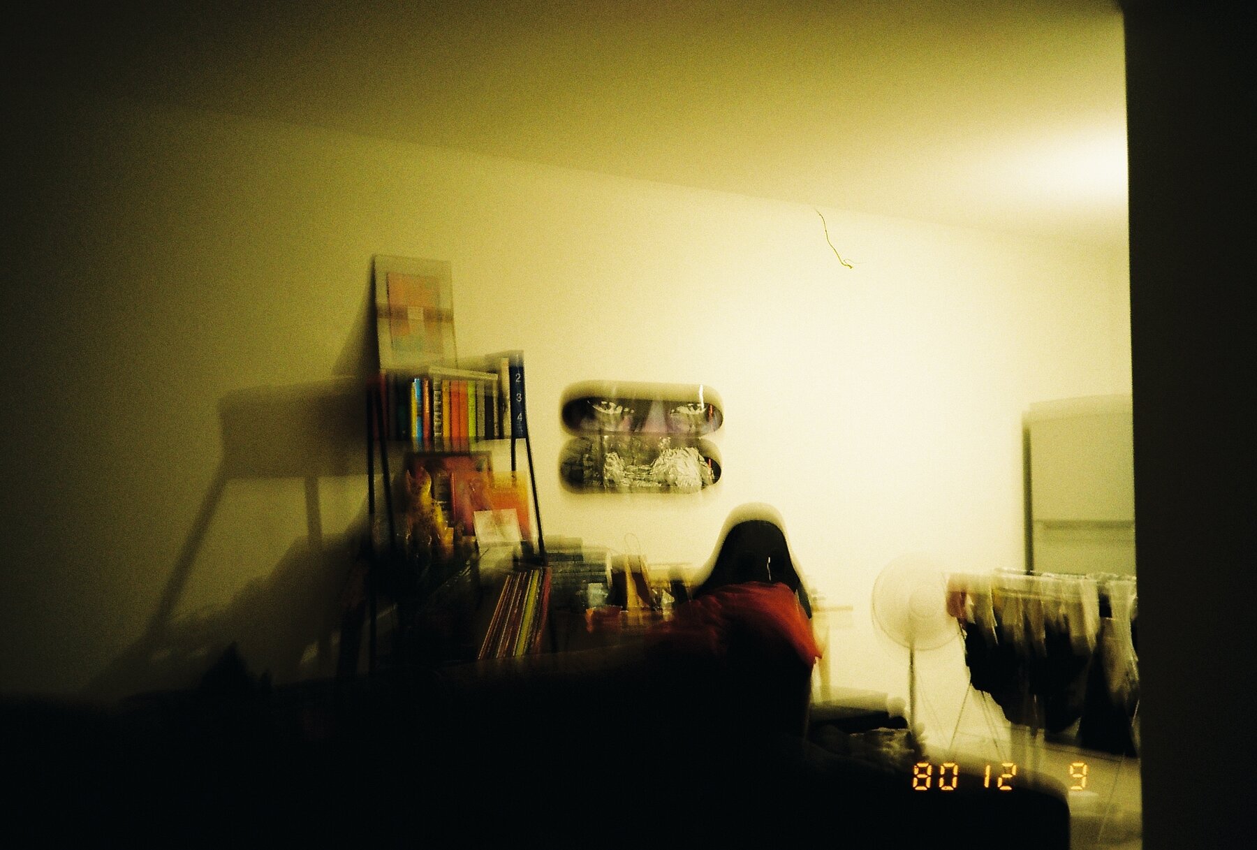 This was the first photo I ever
took on this
camera